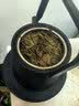 福东顺普洱生茶 云南古树大叶种普洱茶叶口粮茶袋装500g 送礼送长辈领导 实拍图