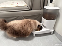 霍曼（Homerun）宠物智能自动喂食器猫粮定时猫咪自动投食机不锈钢单碗增高版PF20 实拍图