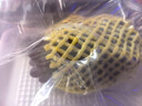 京鲜生 茉莉香葡萄 尝鲜装1-1.3斤 带茉莉清香 酸甜易掉粒 生鲜水果 实拍图