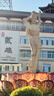 欧莱雅安瓶面膜4.0含赠到手40片保湿修护舒缓护肤品生日礼物爆款 实拍图