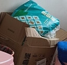 巴布豆新菠萝拉拉裤小内裤婴儿尿不湿一体裤亲肤柔软超薄透气男女宝通用 新菠萝拉拉裤XL36片 实拍图