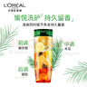 欧莱雅茶树洗发水 植萃去屑清爽控油去油男士女士洗发露500ml 实拍图
