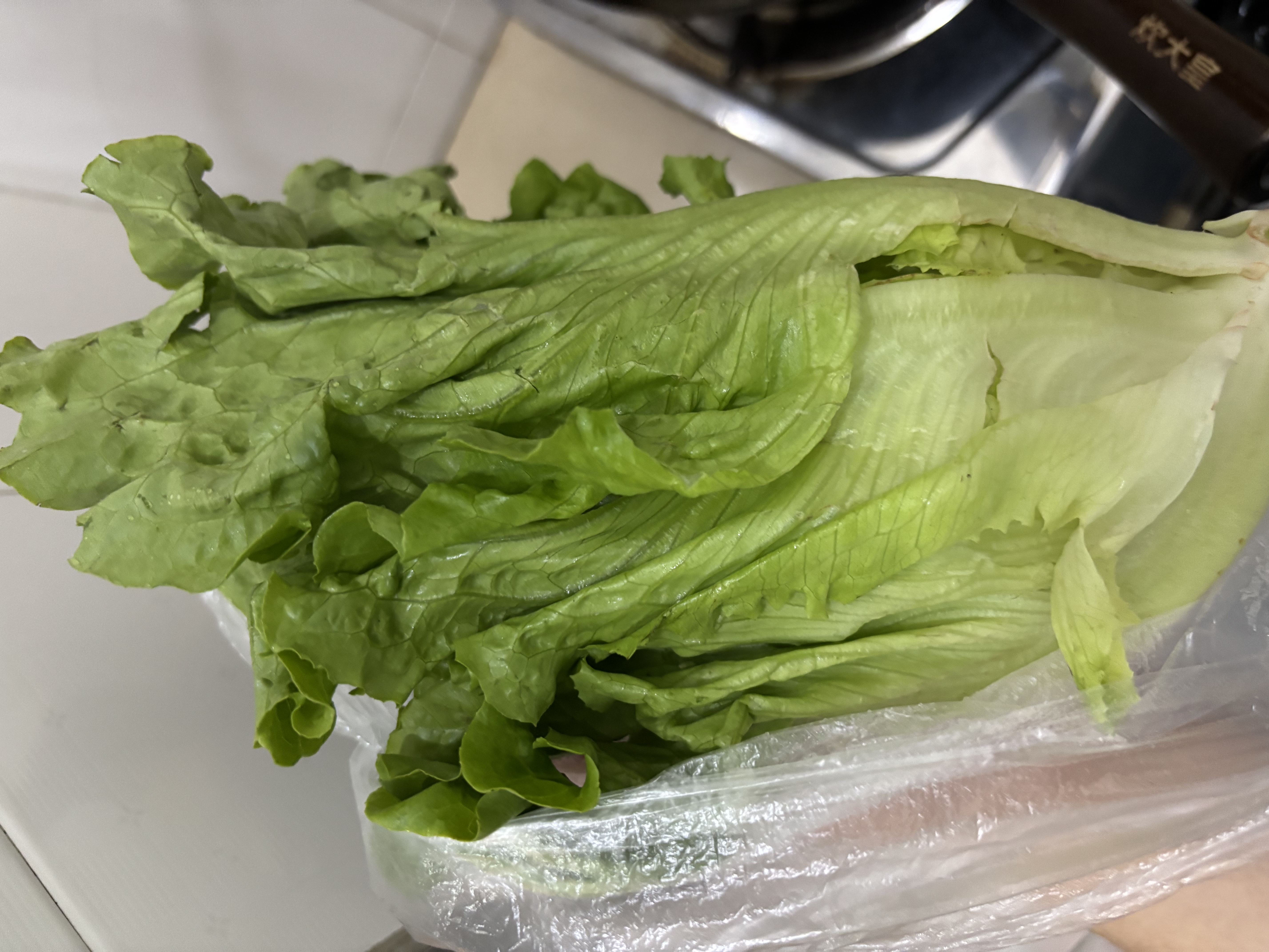 云南鲜生菜约400g 实拍图