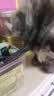 鲜朗主食猫条磷虾三文鱼油营养全价成猫幼猫湿粮无添加非零食补水湿粮 三文鱼味【12g/支】 48支【囤货装】 实拍图