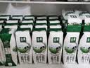 伊利【新鲜日期】金典纯牛奶早餐奶250ml*16盒3.6g乳蛋白 礼盒装 5月 实拍图