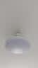 雷士（NVC）led照明风扇灯吊扇灯餐厅卧室北欧变频定时简约三色42寸36瓦 实拍图