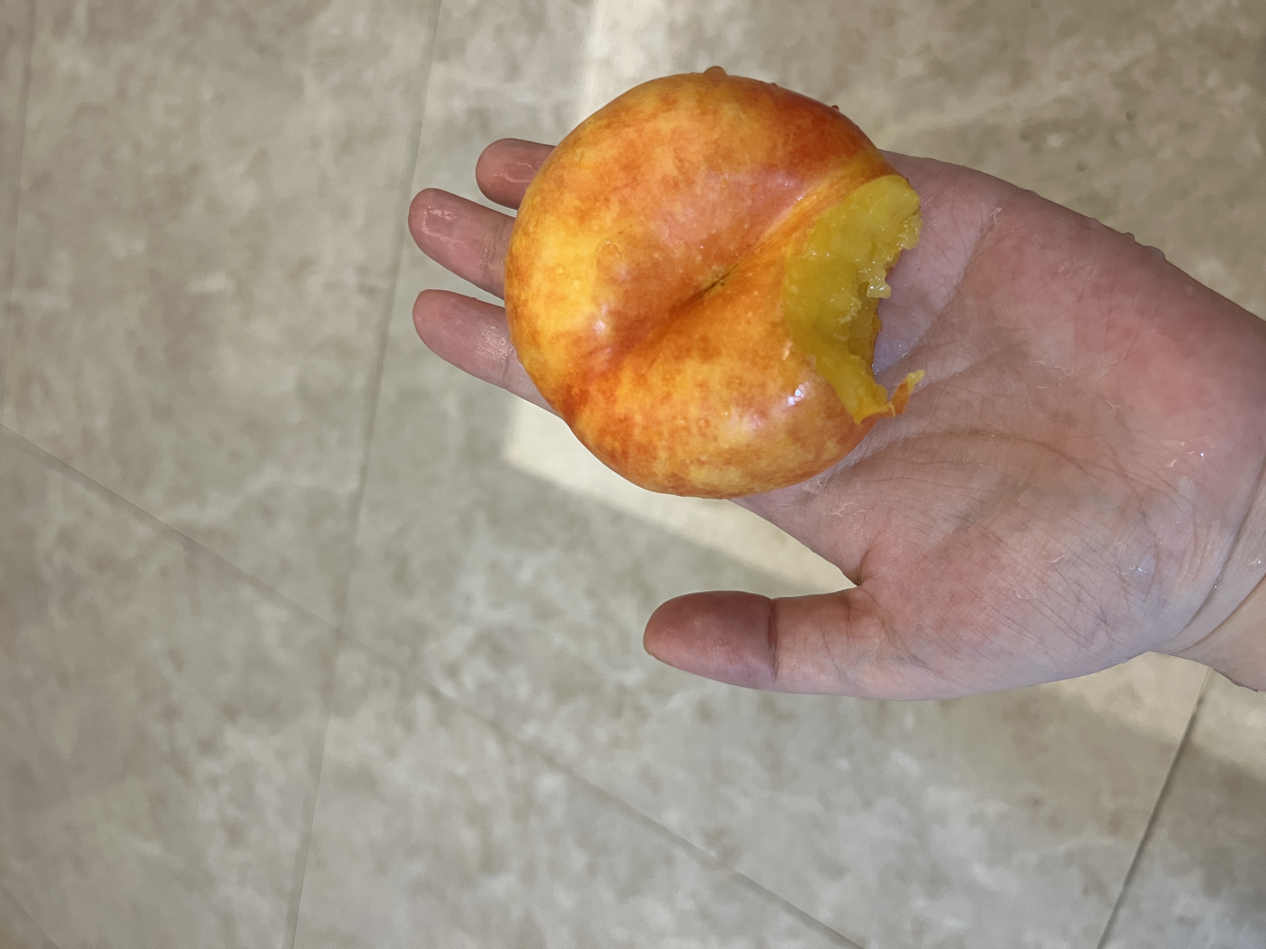康师傅 妙芙蛋糕 巧克力味288g*2糕点点心饼干 早餐面包零食 实拍图