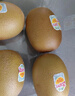 佳沛（zespri）新西兰 阳光金奇异果12粒特大果单果124-146g 猕猴桃水果礼盒 实拍图