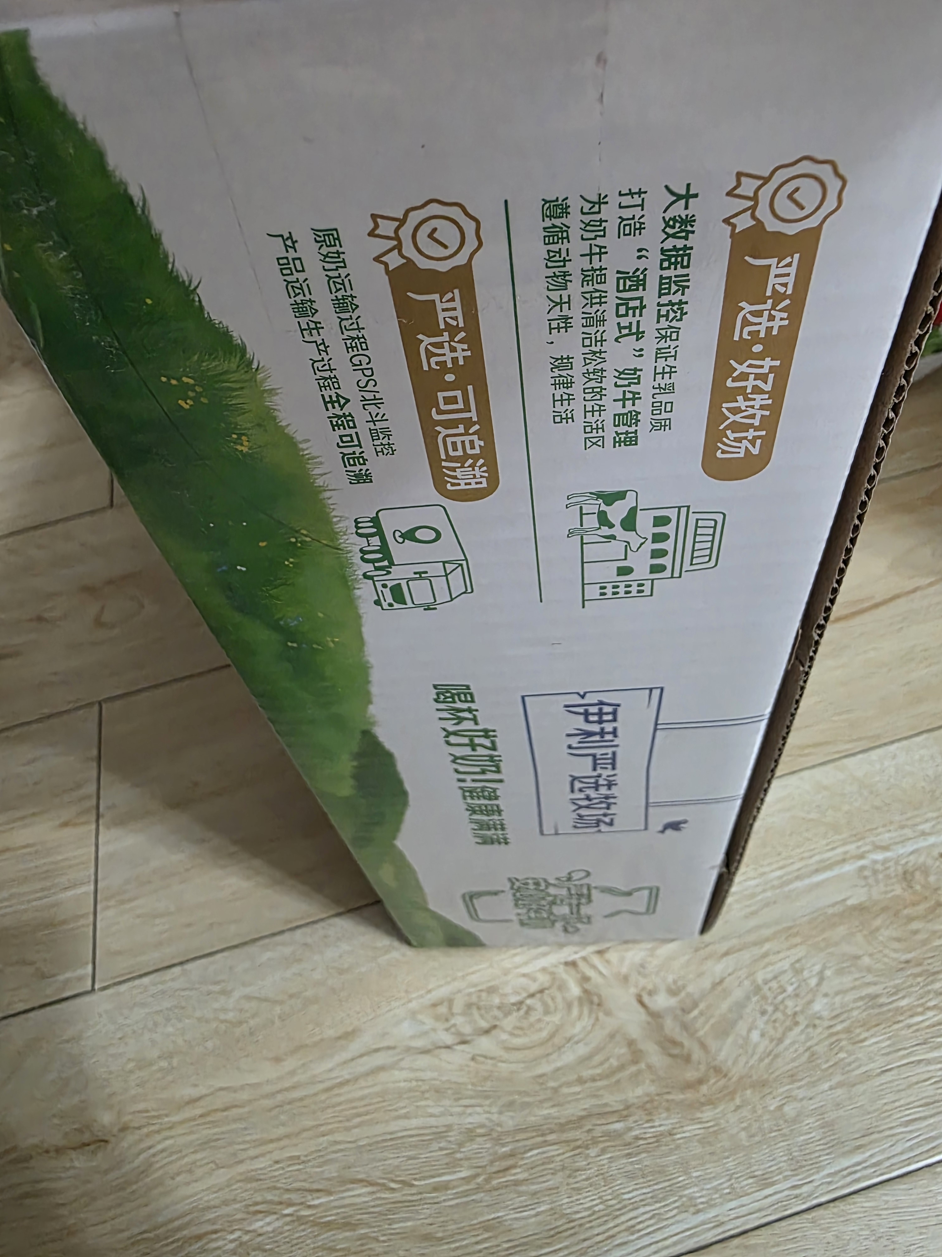 伊利纯牛奶250ml*24盒 优质乳蛋白早餐奶 4月产 实拍图