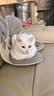 N1 爱宠爱猫N1进口钠基膨润土混合猫砂 6.5kg*3盒升级1.5mm豆腐砂可冲马桶 实拍图