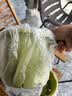 史丹利花盆家用树脂塑料盆栽加厚多肉月季阳台庭院加仑盆苹果绿高197mm 实拍图