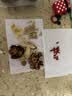 同仁堂（TRT）无花果干颗颗精选无花果片茶干货即食泡水煲汤材料非中药材200g 实拍图