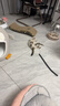 皇家幼猫奶糕 幼猫猫粮 BK34 通用粮 1-4月 2KG 实拍图