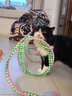 ZEZE春日猫隧道猫玩具自嗨解闷铃铛逗猫棒弹簧猫薄荷躲避猫用品 实拍图