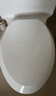 科勒（KOHLER）法弧型坐便盖板马桶坐便器V型盖板 4713T-0 PP缓降盖板445mm 实拍图