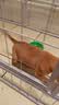 贝初众狗围栏室内宠物围栏狗笼子狗栅栏狗笼小中大型犬猫围栏狗笼折叠 120*60*60cm【适合中小型犬】 【6片】自由拼接组合围栏 加粗加密框架/无惧啃咬 实拍图