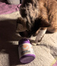 卫仕（NOURSE）猫多维魔方冻干猫咪日常所需复合维生素营养乳铁蛋白高免营养片 基础款猫多维240片 实拍图