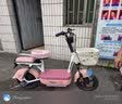 飞鸽电动自行车 E75Plus新国标电动车2026长续航80KM铅酸电池48V21Ah智能家用电瓶车可上牌樱花粉 实拍图
