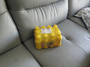 康师傅 冰红茶330ml*12瓶 柠檬红茶饮料饮品轻巧装整箱 热门商品 实拍图
