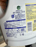 滴露（Dettol）衣物消毒液除菌柠檬3L 99.9%杀菌除螨内衣儿童衣服消毒水配洗衣液 实拍图