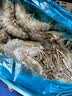 GUO LIAN国联特大号黑虎虾斑节虾无冰盐冻净重2斤20-30只送礼海鲜家宴 实拍图