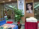 Only you【2小时达】发财树大型盆栽绿植花卉室内客厅办公室开业乔迁生日 步步高发财树 实拍图