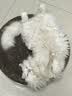 疯狂的主人 猫抓板窝超大号猫玩具猫爪板猫抓盆不掉屑猫窝碗形圆形瓦楞纸 实拍图