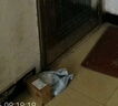 京东京造 饭勺 饭铲勺子家用耐高温厨房【可立不粘饭】盛饭勺 实拍图