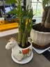 花翁小马新款富贵竹小盆栽办公室桌面绿植招财植物马年伴手礼源头直发 实拍图