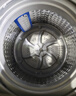 日普（RIPU）波轮洗衣机全自动 大容量洗衣机家用宿舍租房神器 12公斤灰色【蓝光洗护+风干洁桶+强动力电机】 波轮 实拍图