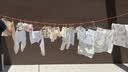 坎乐户外加粗晾衣绳室外晒被子神器防滑防风旅行车载天台挂衣服攀岩绳 实拍图