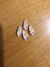 眼镜鼻托空气囊鼻托硅胶眼镜防滑托叶气垫螺丝式通用型眼镜配件 超软气囊2对（送螺丝无螺丝刀） 实拍图