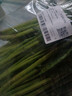 大菠菜300g 实拍图