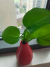 京东鲜花陶瓷双喜花瓶红色结婚摆件婚房装饰婚礼喜庆插花陪嫁新婚乔迁礼物 实拍图