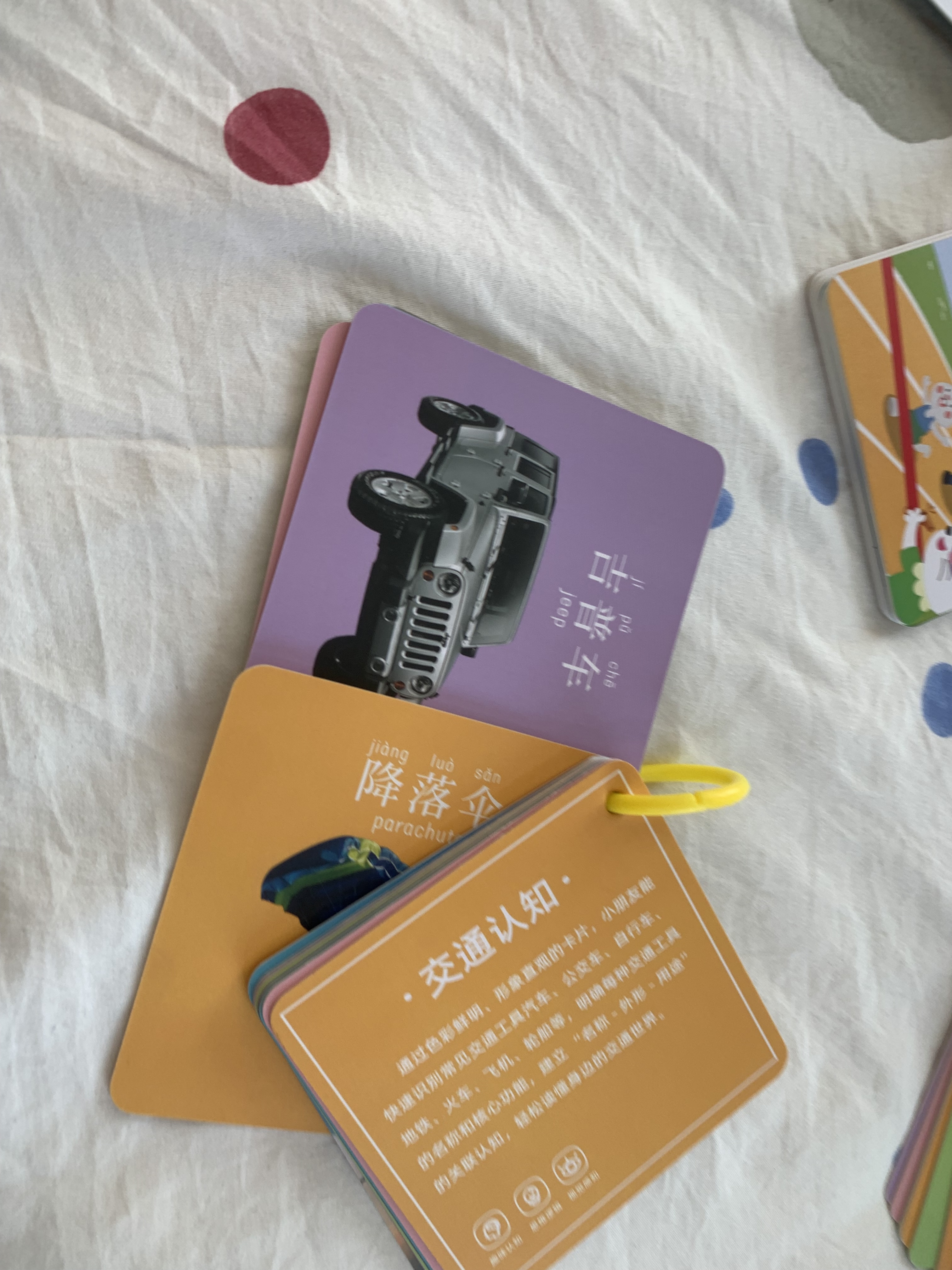 奕思瑞婴儿童早教认知卡片宝宝书本0-1-3岁识数字看图识动物彩色卡玩具 实拍图