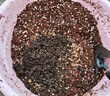 史丹利椰糠砖650g*3 椰土砖椰砖营养土脱盐花土耶砖种菜通用型 实拍图