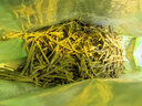 至鼎茶叶 黄金芽茶叶 嫩芽新茶高端明前头采绿茶送礼口粮茶250g 实拍图