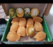 佳沛（zespri）新西兰阳光金奇异果巨大果22粒原箱单果146-175g 猕猴桃水果礼盒 实拍图