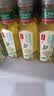 农夫山泉东方树叶茉莉花茶500ml*15瓶无糖茶饮料0糖0脂0卡整箱装 实拍图
