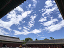小糊涂仙小糊涂神（普神）浓香型白酒 38度 500ml*1瓶 单瓶装  宴请送礼 实拍图