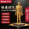 华佗牌人体针灸模型人经络穴位可扎针款中医专用练习小皮人男 实拍图