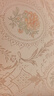 贝尼宠鸟笼  鹦鹉鸟笼子 可折叠 虎皮鸽子笼鸟笼子 八哥画眉鸟别墅大号 电镀银鸟笼*高56*长33*31含8件套 实拍图