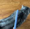 JKULNING宠物宽密齿梳开结排梳去浮毛梳子猫狗通用日常护理美容梳子宠物店 实拍图