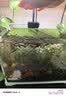尼奥光（NEO-HELIOS）鱼缸灯水草灯LED灯S3pro+RGB植物光谱 【二代】8W尼奥S3【适用20-30鱼缸】 实拍图