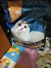 亿迪 冻干猫粮幼猫成猫10斤全价布偶蓝猫英短成年全阶段 实拍图