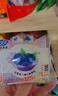 港荣蒸蛋糕蓝莓800g纯蛋糕小面包零食早餐糕点心甜品下午茶独立包装 实拍图