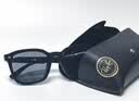 雷朋（RayBan）方形太阳镜眼镜户外防晒墨镜0RB4391D 实拍图
