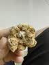 蒙牛特仑苏纯牛奶200mL*24盒 家庭囤货整箱牛奶早餐奶 部分地区3-4月 实拍图