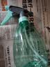 喷壶浇花浇水喷雾器气压式喷水壶家用园艺养花500ml 南瓜喷壶透蓝【1个装】 实拍图