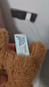 贝尚星卡皮巴拉玩偶掌中宝水豚公仔布娃娃摆件男孩女孩生日礼物毛绒玩具 实拍图